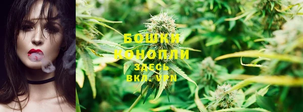 MESCALINE Аркадак