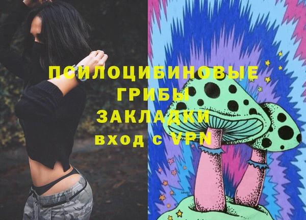 мяу мяу мука Елабуга