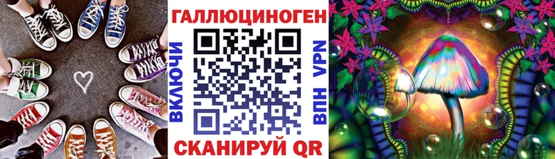 ссылка на мегу как зайти  Малгобек  Псилоцибиновые грибы Cubensis 